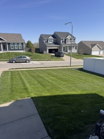 Front lawn with professional striping pattern in suburban neighborhood
