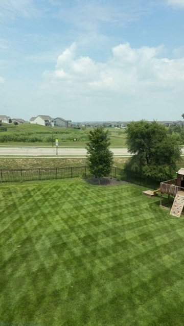 Diagonal crosshatch striping pattern on backyard lawn
